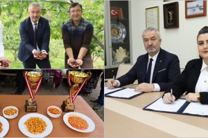 Nebiyan Markalaşma Yolunda
